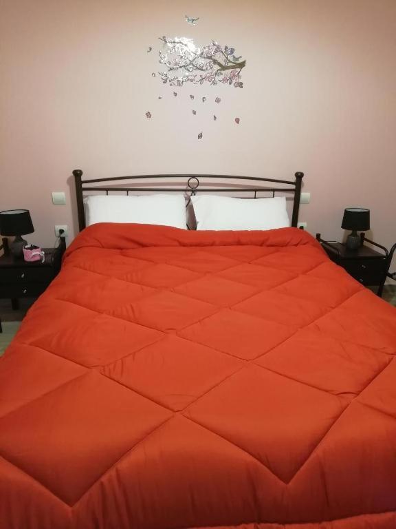 Katelia'S Apartments Алмиропотамос Номер фото
